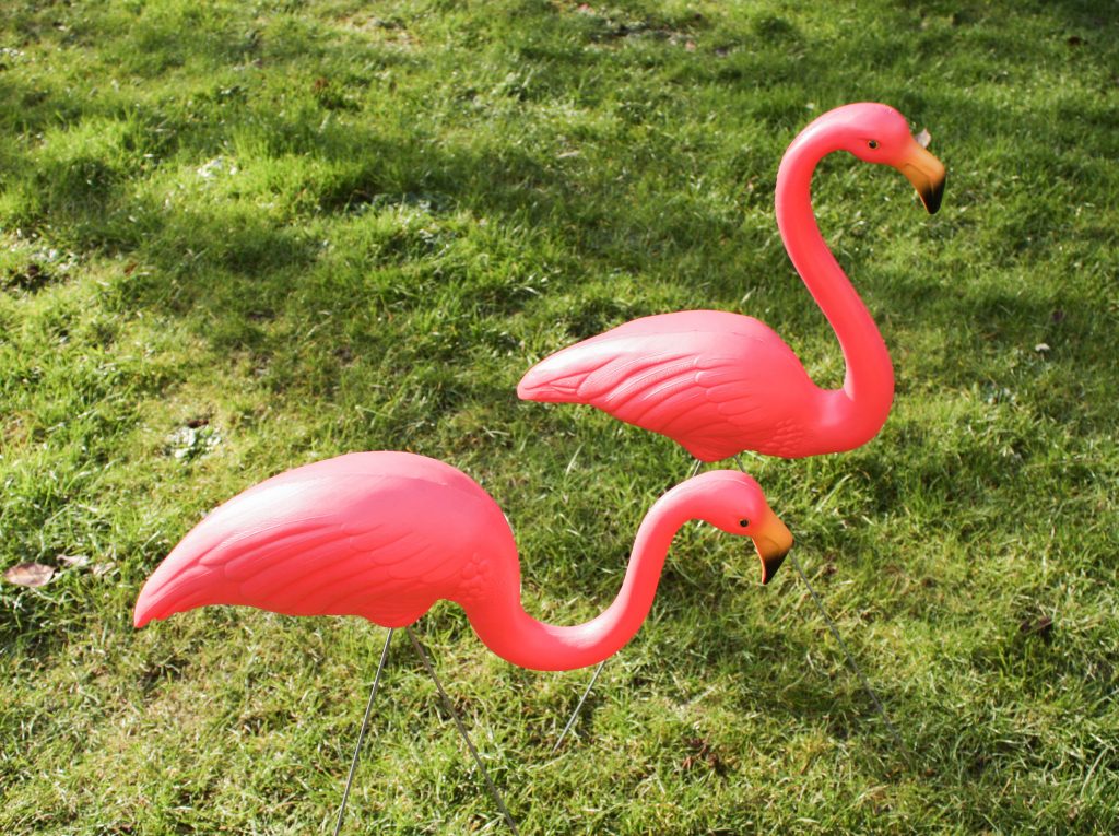 pair of pink flamingo lawn ornaments